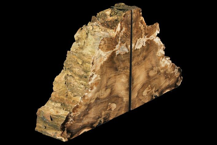 Petrified Wood Bookends - McDermitt, Oregon #141089